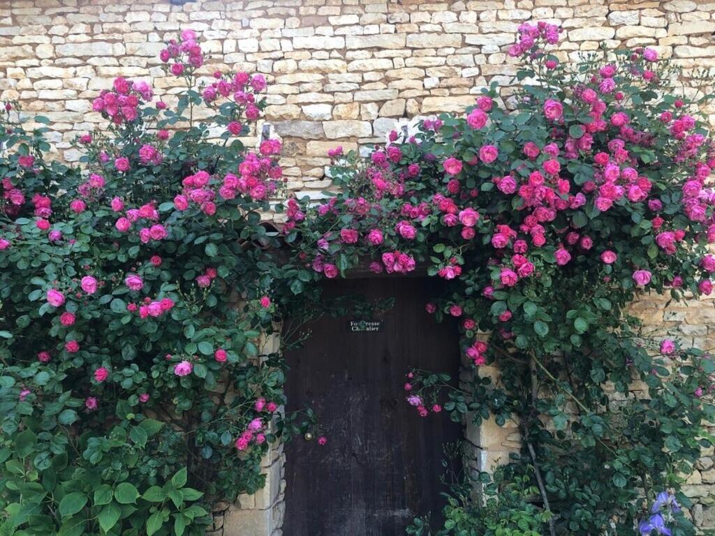 Blacksmiths Cottage In Blanzay - 3 Beds Bagian luar foto